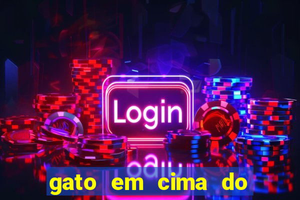 gato em cima do telhado significado espiritual